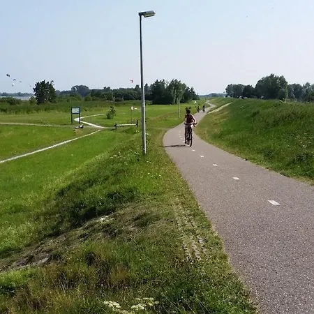 Wilgenroos De Groote Vliet Alpehytte *